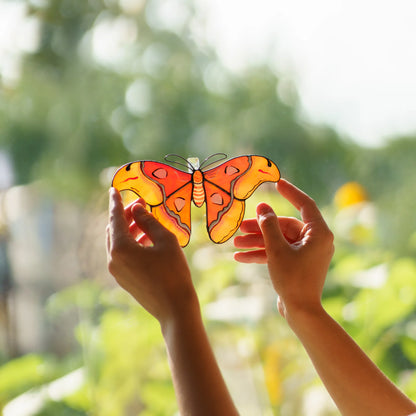 Two hands holding an atlas moth stained glass suncatcher up to the sun, orange glass glowing over a garden