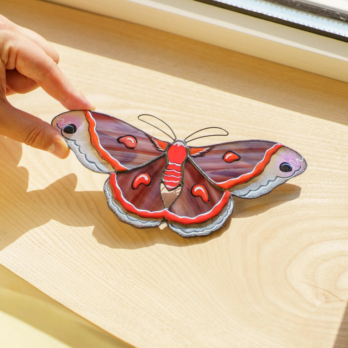 Cecropia moth stained glass suncatcher laid on a sunlit wooden sill, a hand lifting one wingtip