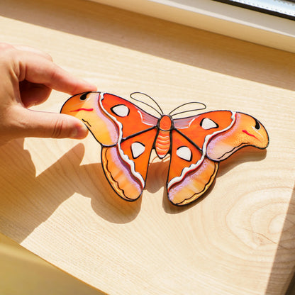 Atlas moth suncatcher on a sunny wooden windowsill, a hand holding its snake-head wingtip