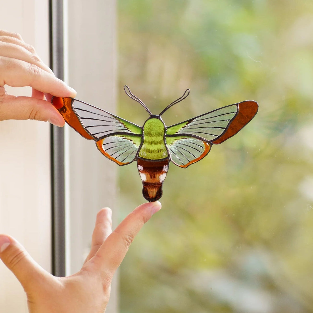 Hummingbird moth suncatcher held at a window frame, a fingertip resting under its striped amber body