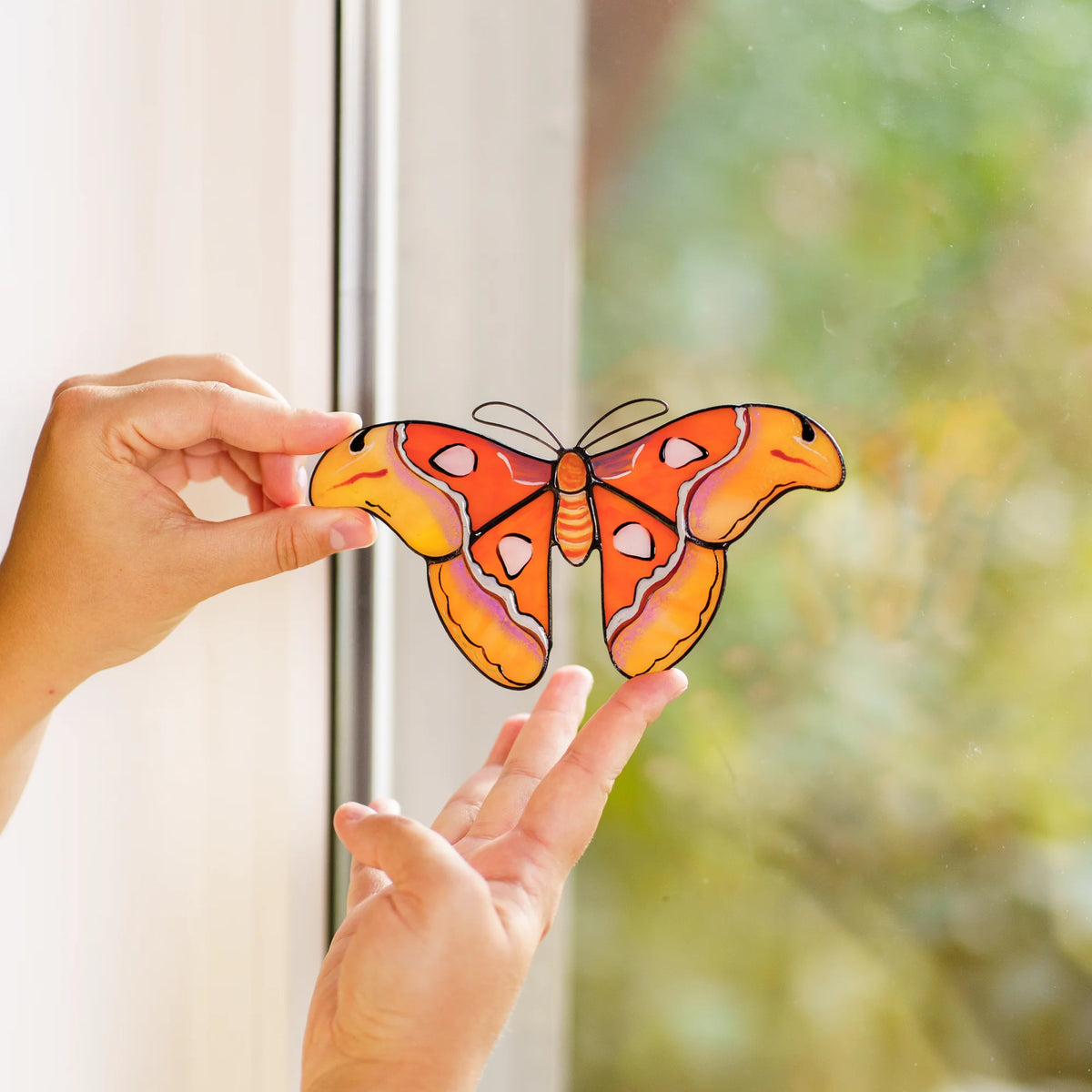 Hands positioning an atlas moth stained glass suncatcher on a bright window beside the frame