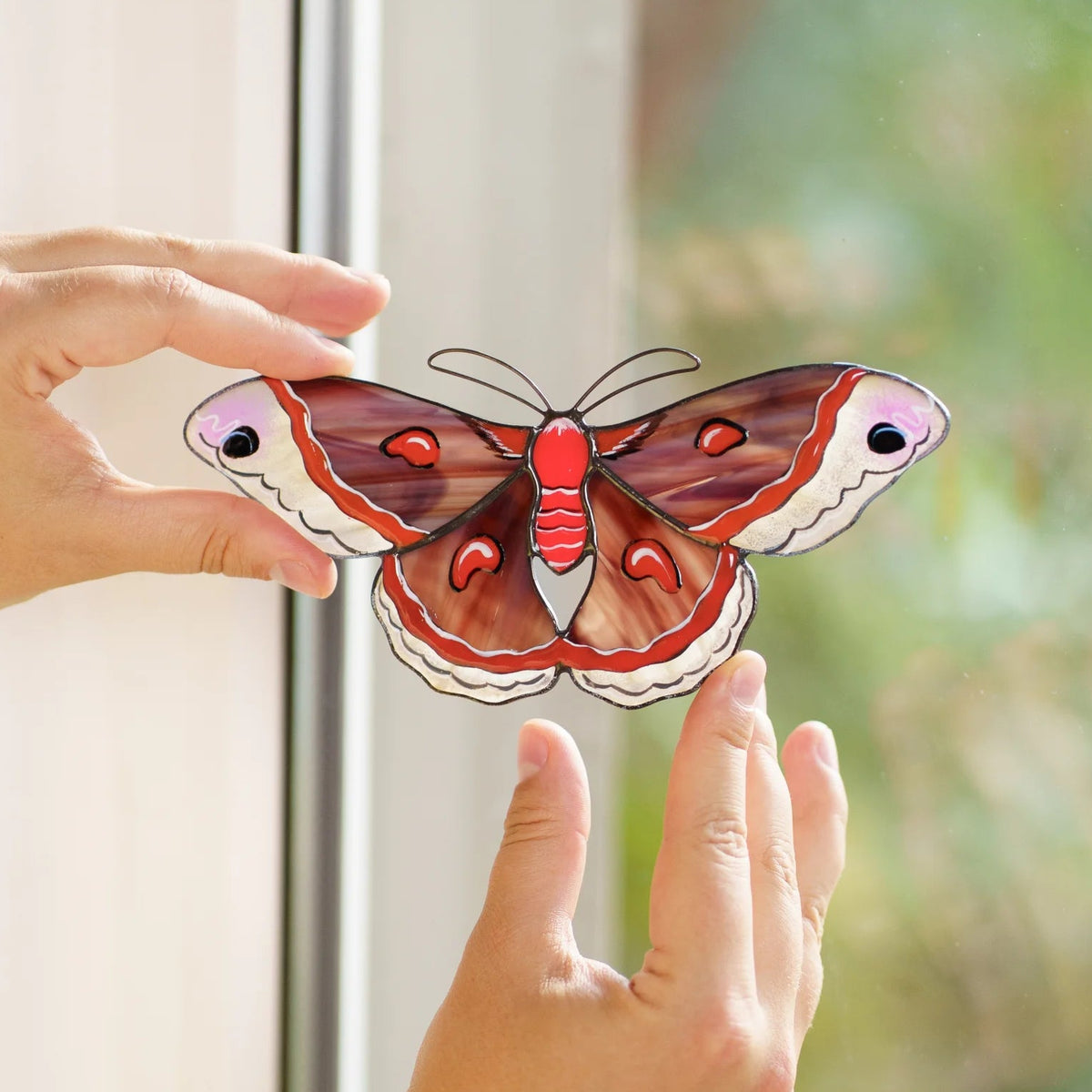 Cecropia moth suncatcher held at a window frame, red and cream glass in front of a garden view