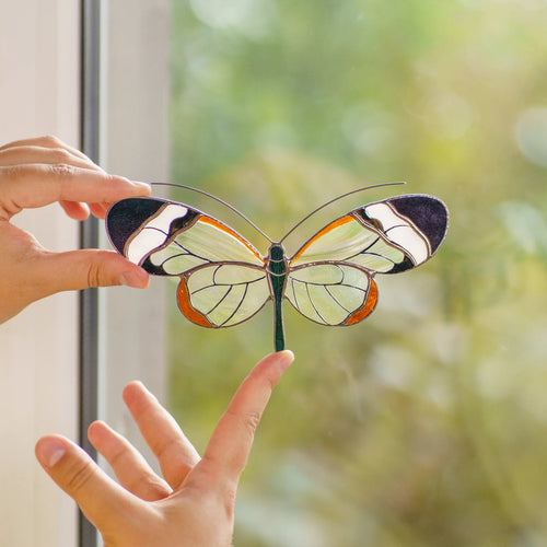 Glasswing butterfly suncatcher held up at a window, clear wings with dark tips glowing against a green view