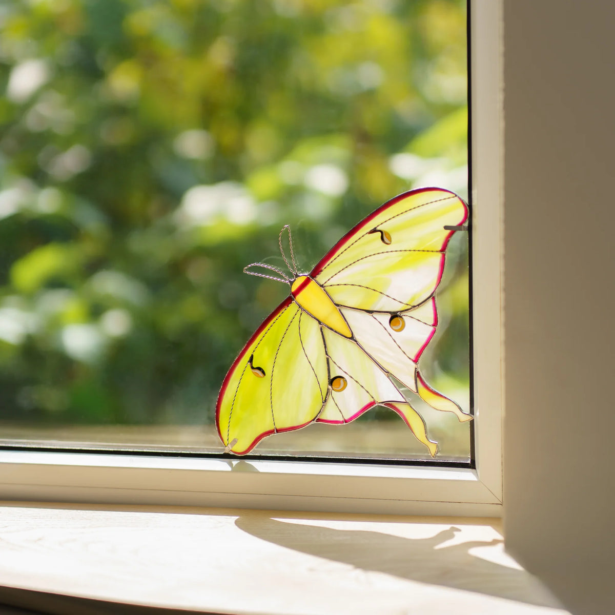 Handmade stained glass luna moth window corner suncatcher in pale green glass, sunlit garden outside