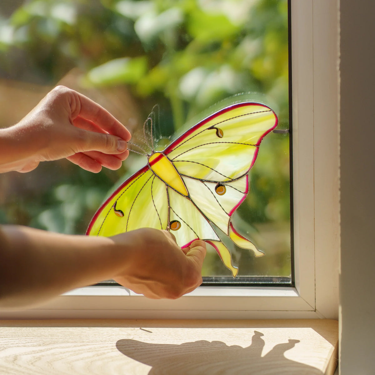 Hands settling the green moth into a window corner, a small metal clip holding the upper wing