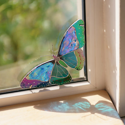 Iridescent morpho variation with violet and green wing edges, sparkling in a window corner