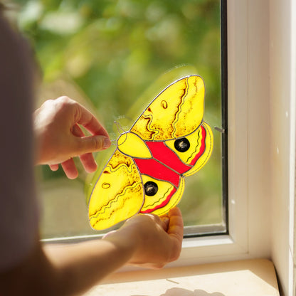 Hands clipping the yellow moth into a window corner, holding it by the twisted wire antennae