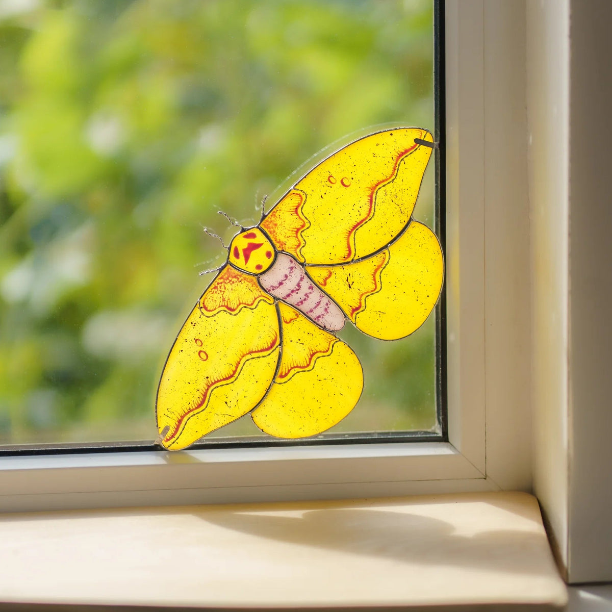Stained glass handmade imperial moth window corner suncatcher clipped into a sunny window corner