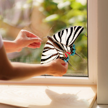 Hands clipping the striped swallowtail into place, holding it by the antenna and teal hindwing