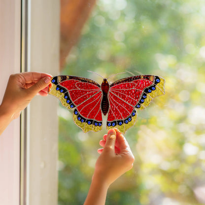 Two hands holding the red and gold butterfly to a bright window, blue spots along the dark wing border