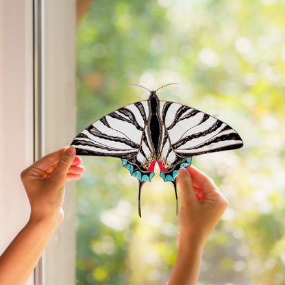 Two hands lifting the swallowtail to a bright window, black stripes over pale opalescent glass