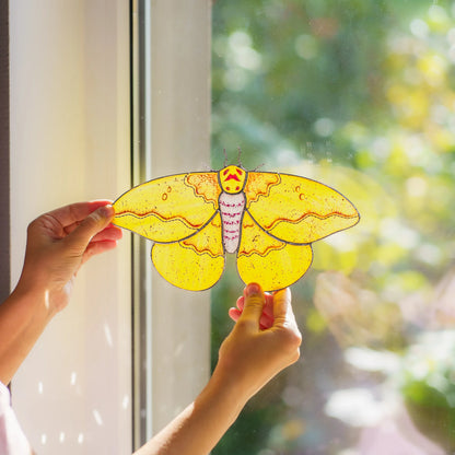 Two hands holding the yellow moth up to a bright window, wings glowing in the daylight