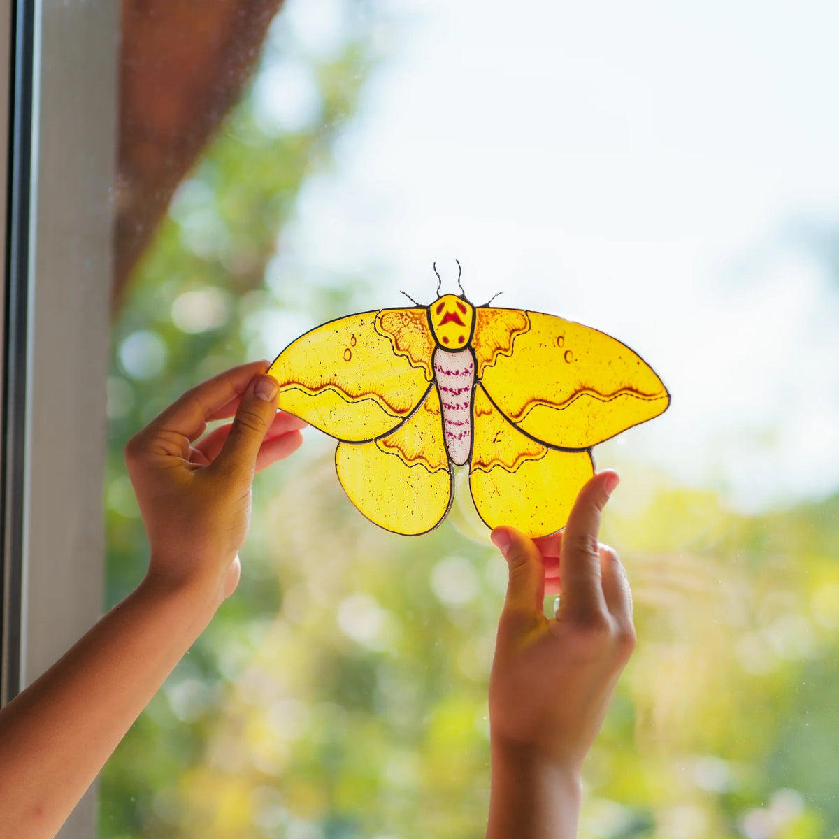 Backlit stained glass moth against window light, showing amber wing bands and a striped pink body