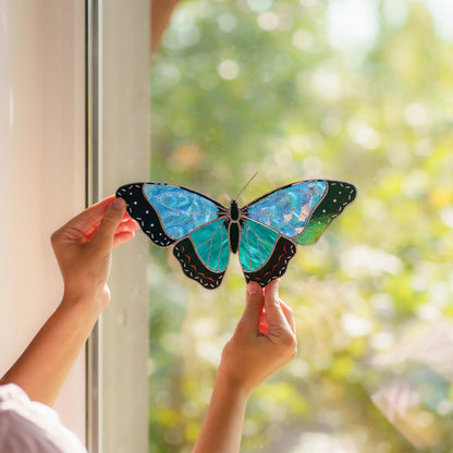 Two hands holding the black-bordered morpho to a bright window, aqua glass glowing in daylight