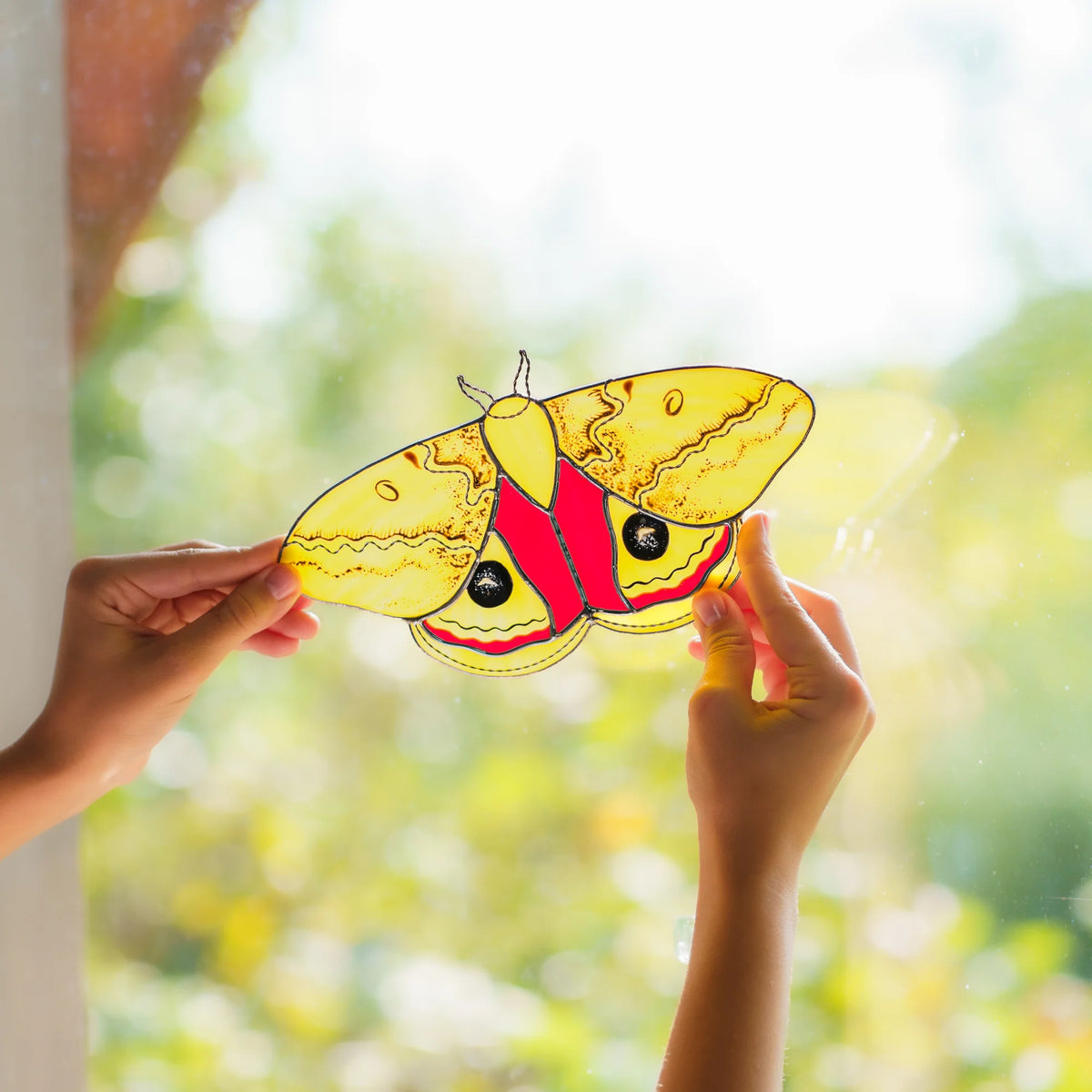Backlit stained glass io moth raised against the window, red and yellow glass lit by the sun