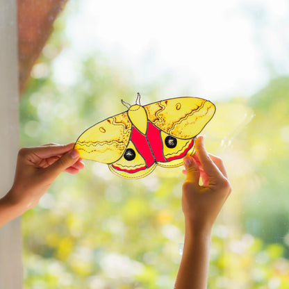Backlit stained glass io moth raised against the window, red and yellow glass lit by the sun