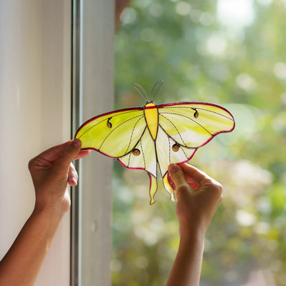 Two hands holding the pale green moth up to a window, wings glowing against a soft garden blur