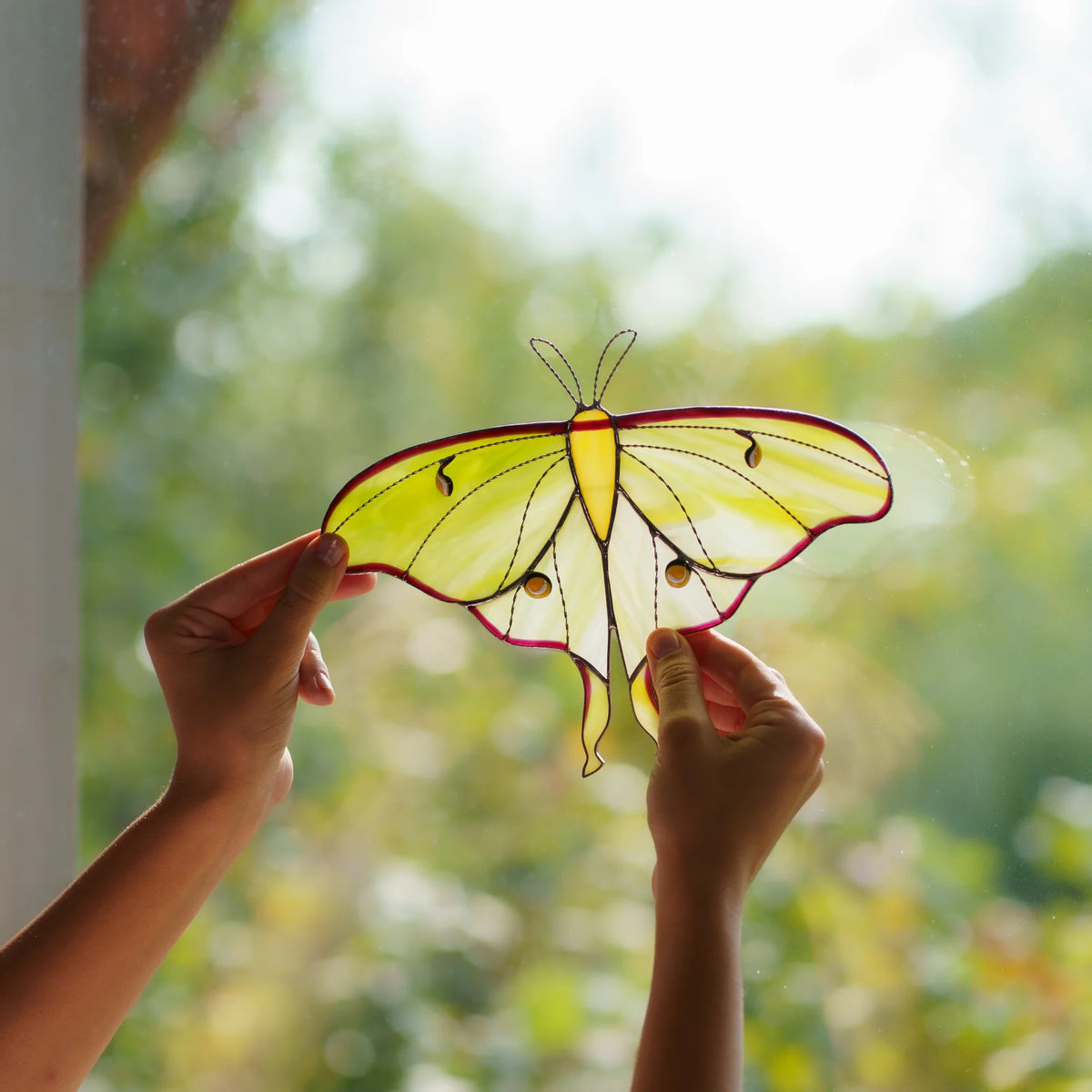 Backlit stained glass luna moth raised into daylight, light showing through streaky green glass