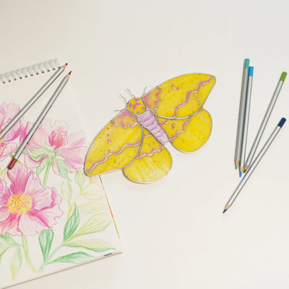 Imperial moth suncatcher beside a sketchbook with a pink peony drawing and colored pencils