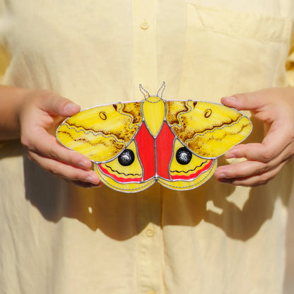 Person in a yellow shirt holding the glass io moth with both hands to show its size and eyespots