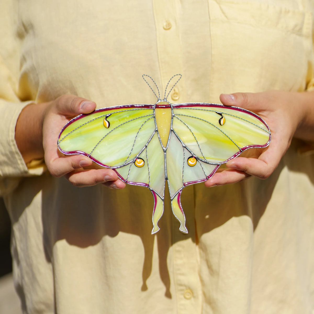 Person in a yellow shirt holding the green moth with both hands to show its wingspan and tails