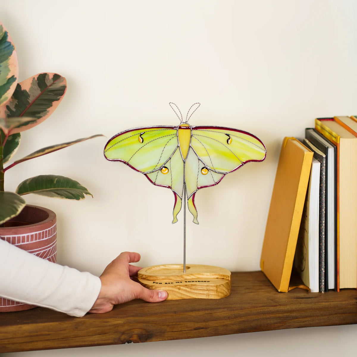 Hand placing the luna moth suncatcher's wooden base on a bookshelf next to houseplants