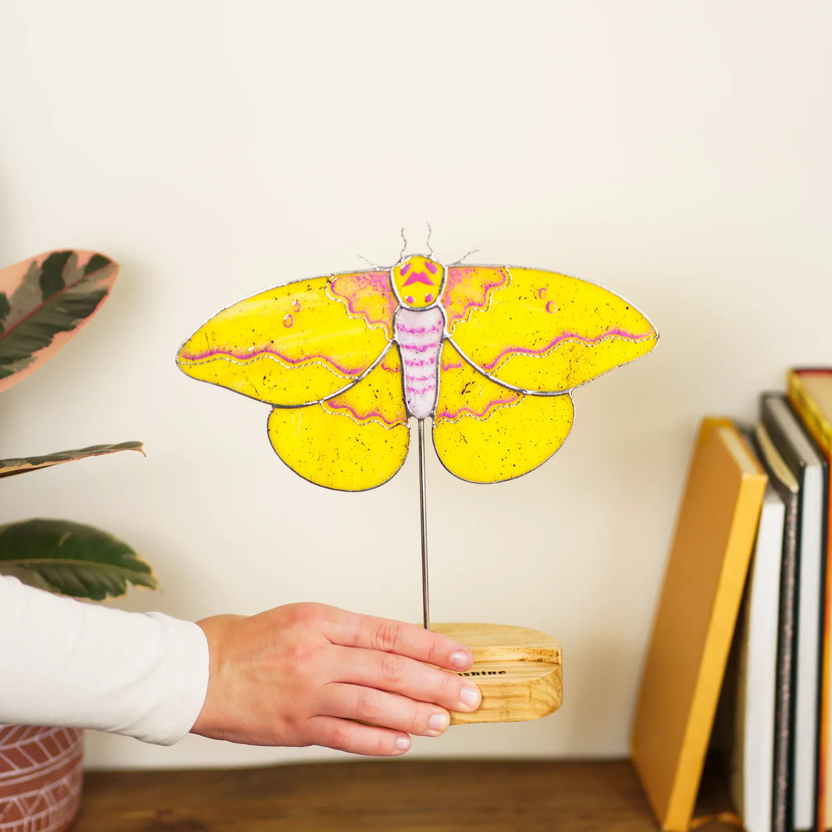 Hand holding the imperial moth suncatcher's wooden base near a bookshelf