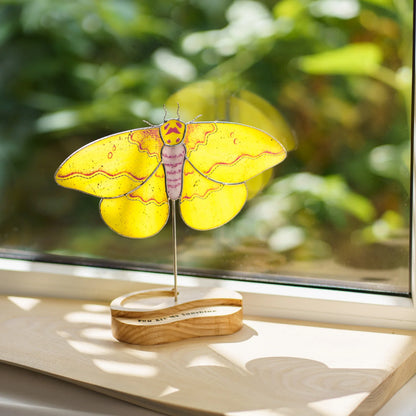 Close-up of the imperial moth suncatcher's stained glass wings in window light
