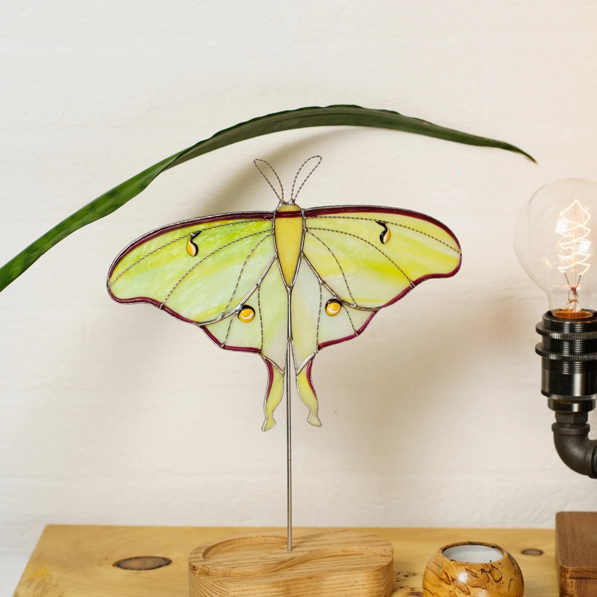 Luna moth stained glass suncatcher on its wooden stand under a leaf beside an Edison bulb lamp