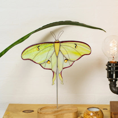 Luna moth stained glass suncatcher on its wooden stand under a leaf beside an Edison bulb lamp