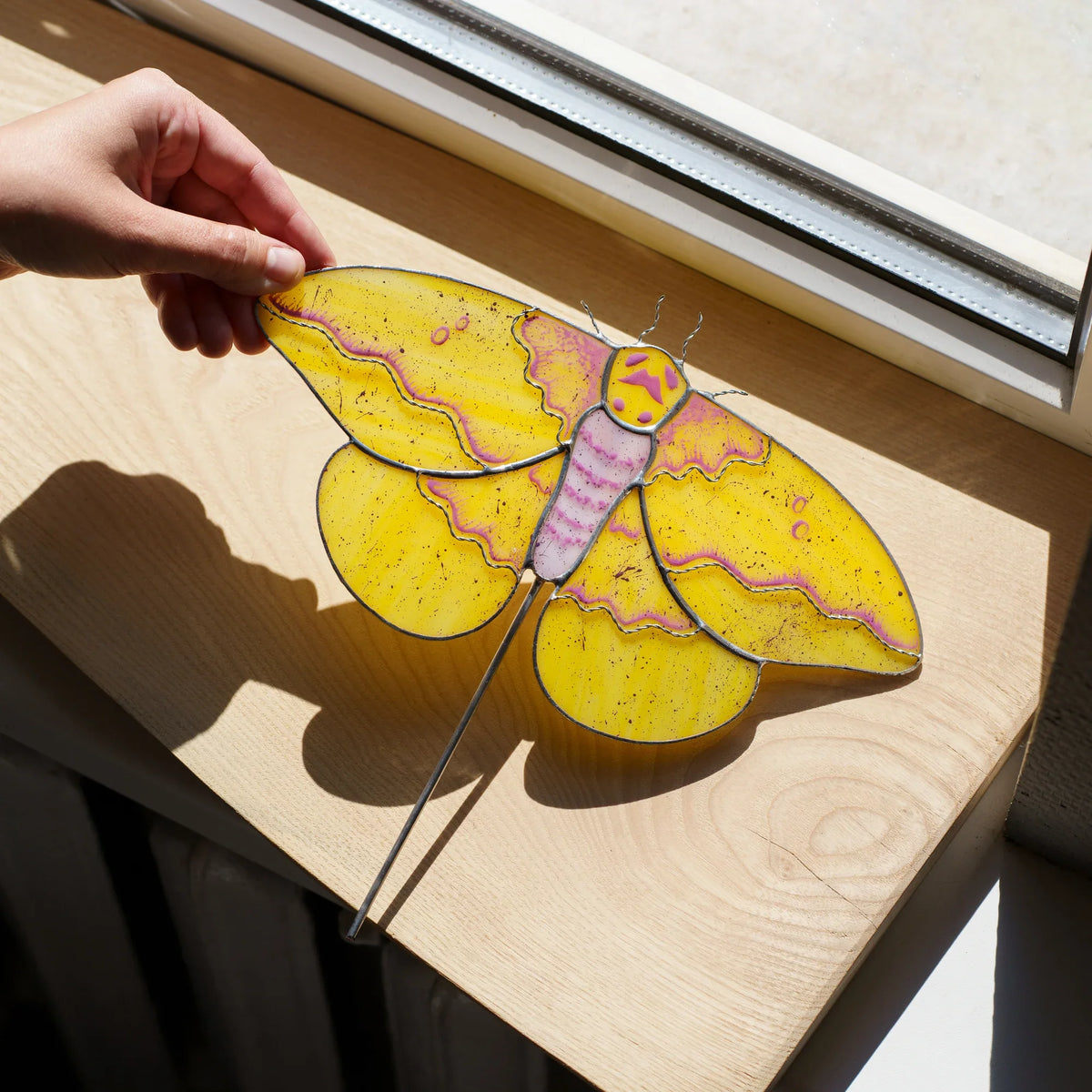 Hand holding the wing of a stained glass imperial moth suncatcher on a sunlit windowsill