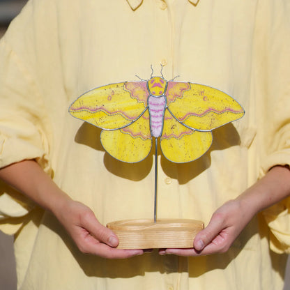 Person holding the imperial moth stained glass suncatcher by its engraved wooden base