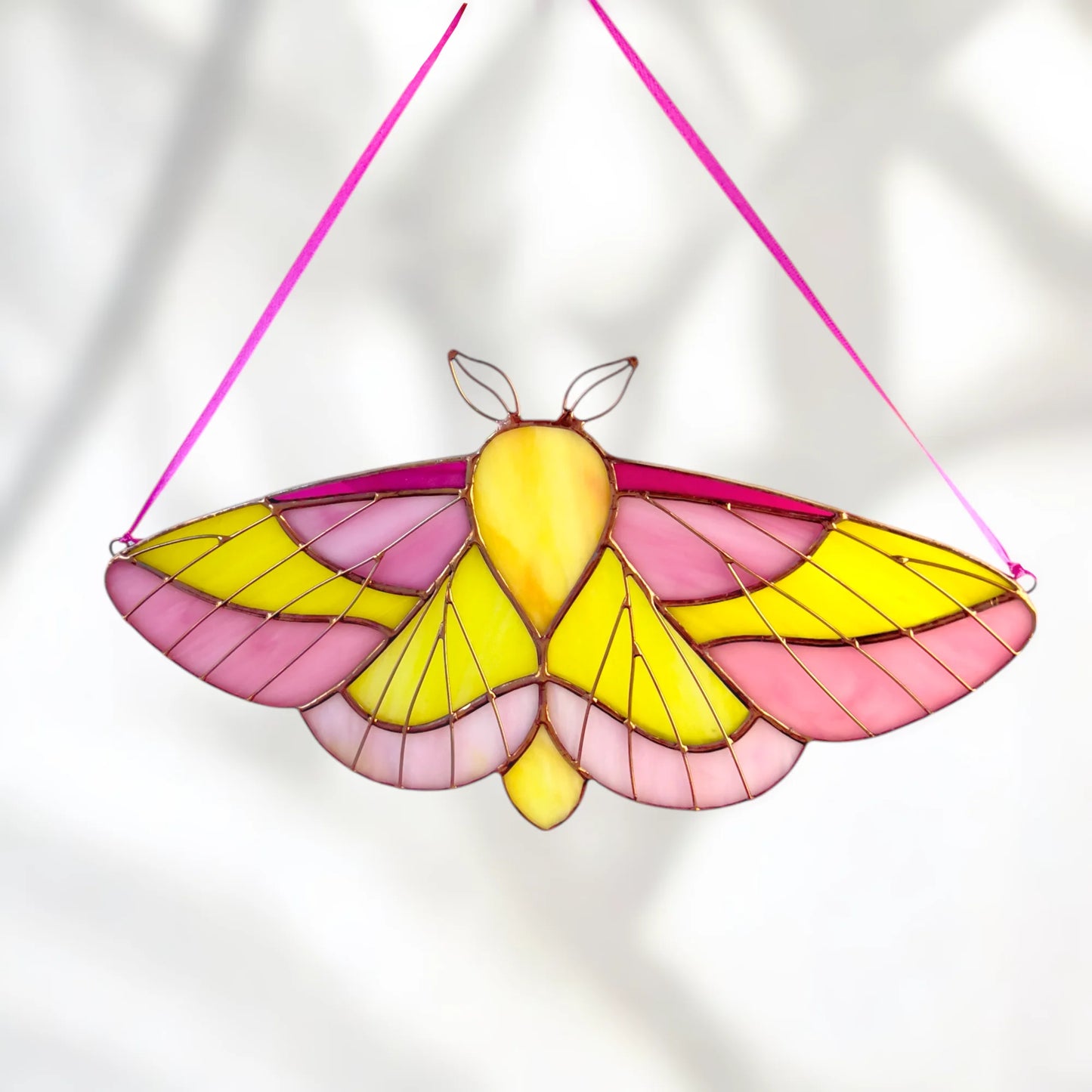Rosy Maple Moth ·  Stained Glass Suncatcher