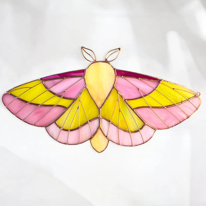 Rosy Maple Moth ·  Stained Glass Suncatcher