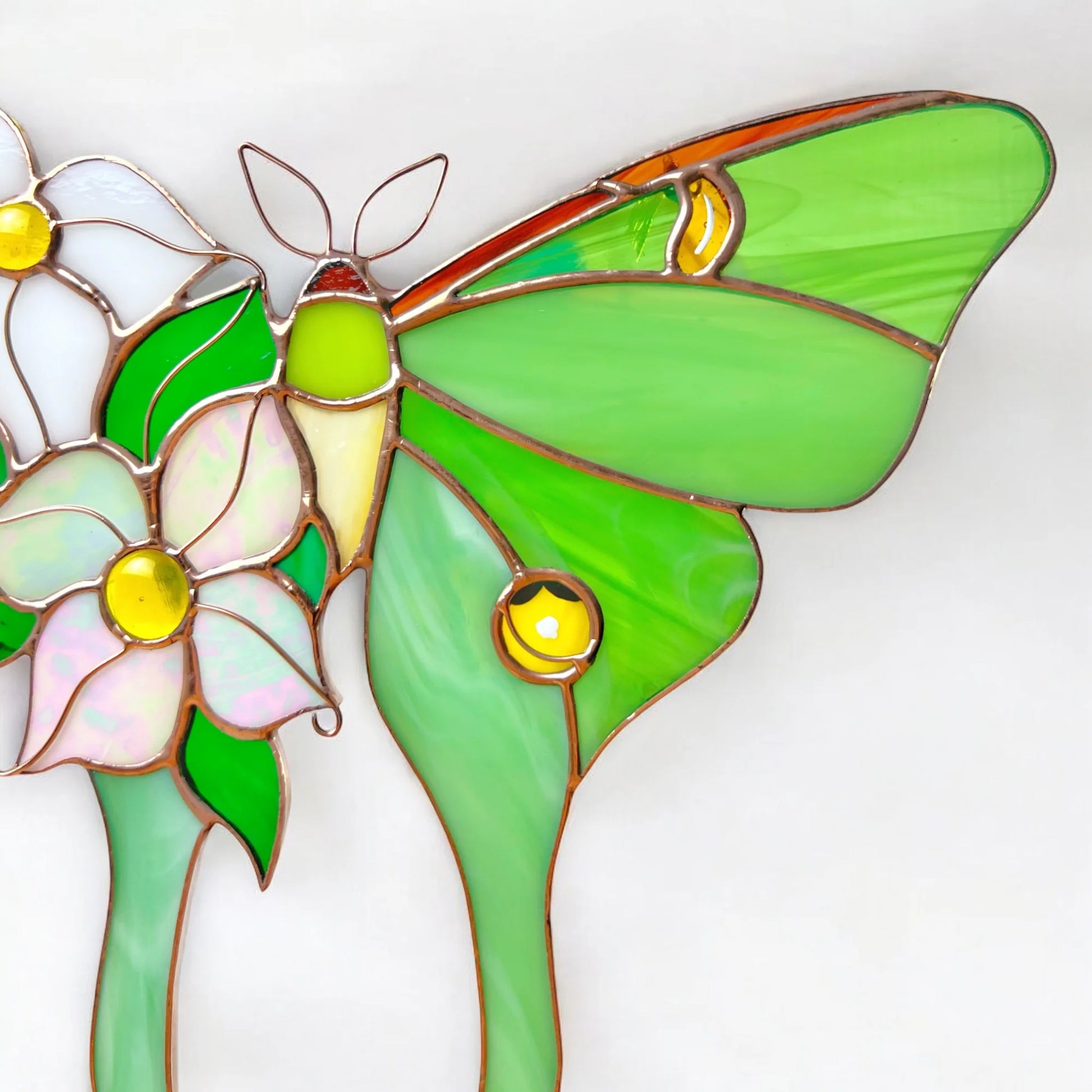 A stained glass suncatcher art piece featuring a green moth butterfly with yellow accents and white and pink flowers, set against a plain white background.