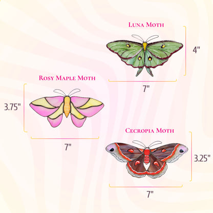 Eastern Woodland Moths Set · Stained Glass Suncatchers