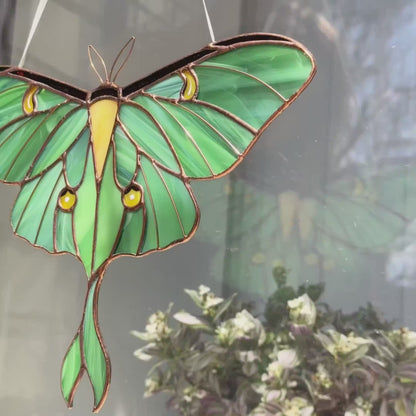 A charming video highlighting a unique stained glass luna moth, focusing on its exquisite artistry and ability to add a touch of magic to your favorite space.