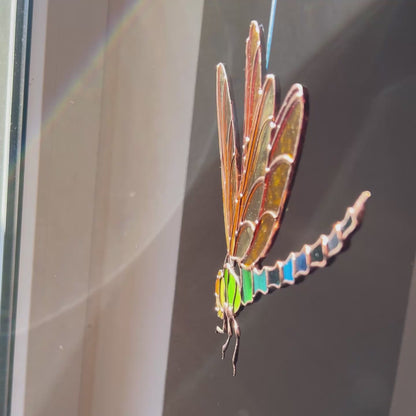 An engaging video presentation of a versatile stained glass dragonfly suncatcher, emphasizing its elegant appeal and how it brightens up any room with handmade char