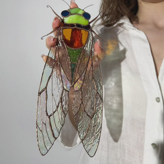 A captivating video showcasing the stunning details and vibrant colors of a handmade stained glass cicada, highlighting its beauty as a unique and memorable gift.