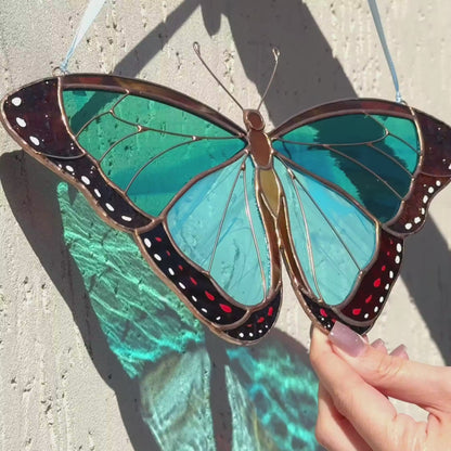 Viedo showcasing stained glass morpho window hanging in different lightning and views