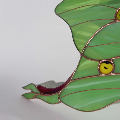 A delightful video showcasing a handcrafted stained glass luna moth, capturing its radiant colors and fine craftsmanship as a wonderful gift for any occasion.