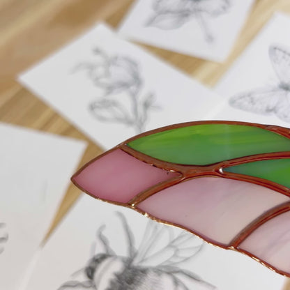 A delightful video showcasing a handcrafted stained glass luna moth window hanging, capturing its radiant colors and fine craftsmanship as a wonderful gift for any occasion.